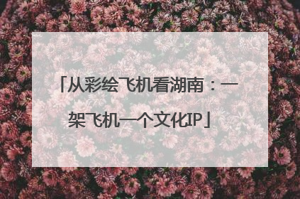 从彩绘飞机看湖南：一架飞机一个文化IP