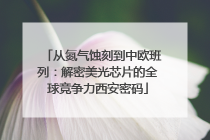 从氮气蚀刻到中欧班列：解密美光芯片的全球竞争力西安密码