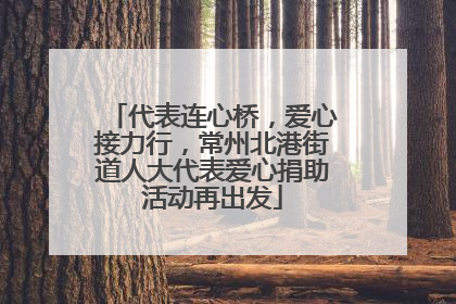 代表连心桥，爱心接力行，常州北港街道人大代表爱心捐助活动再出发