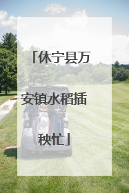 休宁县万安镇水稻插秧忙