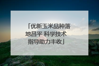 优新玉米品种落地昌平 科学技术指导助力丰收