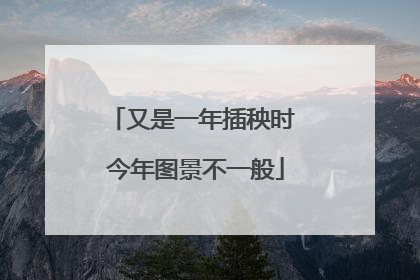 又是一年插秧时 今年图景不一般