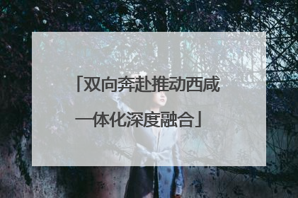 双向奔赴推动西咸一体化深度融合