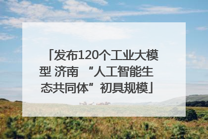 发布120个工业大模型 济南 “人工智能生态共同体”初具规模