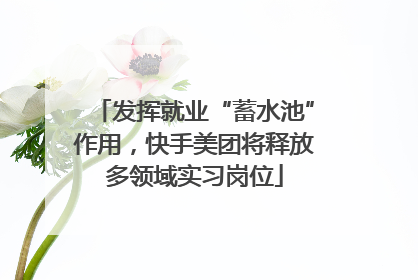 发挥就业“蓄水池”作用，快手美团将释放多领域实习岗位