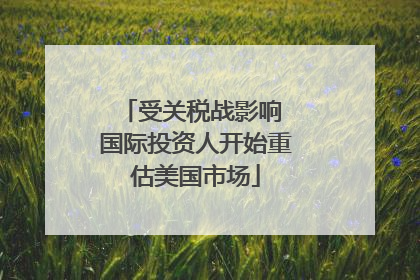 受关税战影响 国际投资人开始重估美国市场