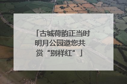 古城荷韵正当时 明月公园邀您共赏“别样红”