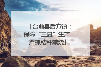 台前县后方镇：保障“三夏”生产 严抓秸秆禁烧