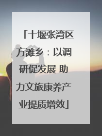 十堰张湾区方滩乡：以调研促发展 助力文旅康养产业提质增效