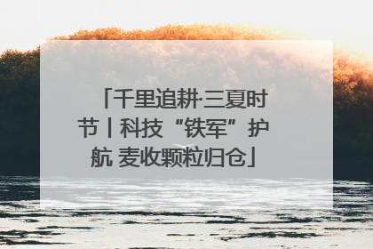 千里追耕·三夏时节丨科技“铁军”护航 麦收颗粒归仓
