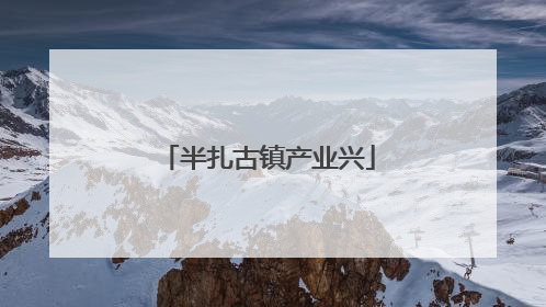 半扎古镇产业兴