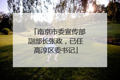 南京市委宣传部副部长张政，已任高淳区委书记