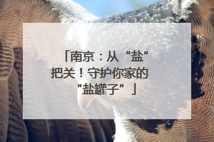 南京：从“盐”把关！守护你家的“盐罐子”