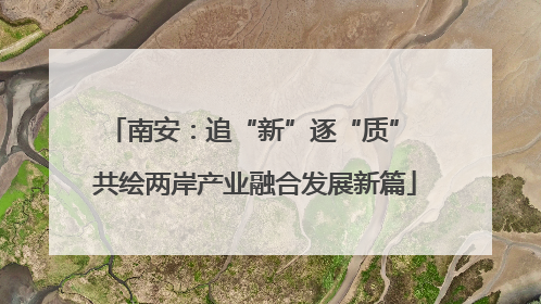 南安：追“新”逐“质” 共绘两岸产业融合发展新篇