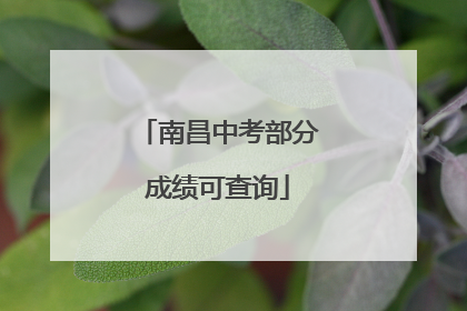 南昌中考部分成绩可查询