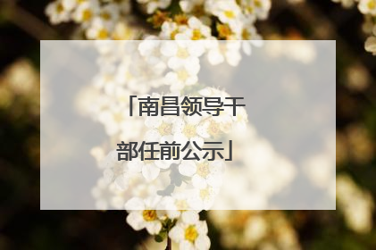 南昌领导干部任前公示
