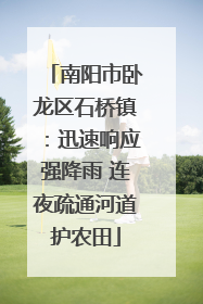 南阳市卧龙区石桥镇：迅速响应强降雨 连夜疏通河道护农田