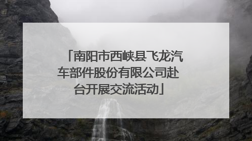 南阳市西峡县飞龙汽车部件股份有限公司赴台开展交流活动