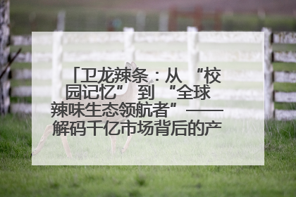 卫龙辣条：从 “校园记忆” 到 “全球辣味生态领航者”——解码千亿市场背后的产品创新与全链路破圈