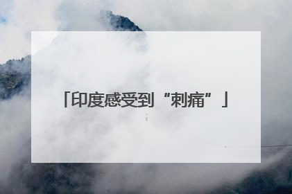 印度感受到“刺痛”