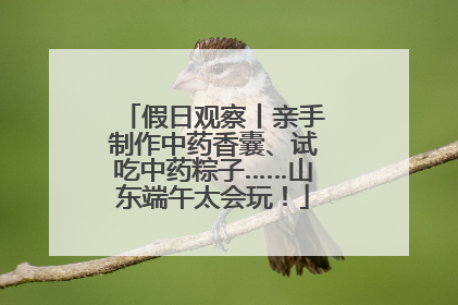 假日观察丨亲手制作中药香囊、试吃中药粽子……山东端午太会玩！