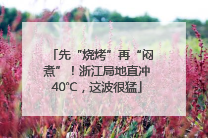 先“烧烤”再“闷煮”！浙江局地直冲40℃，这波很猛