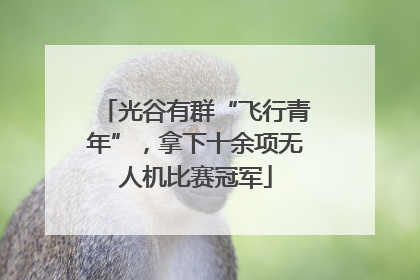 光谷有群“飞行青年”，拿下十余项无人机比赛冠军