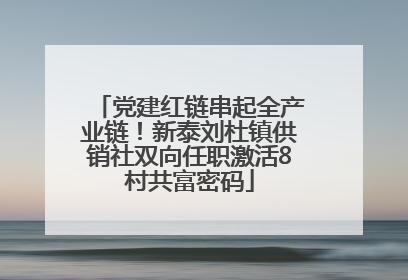 党建红链串起全产业链！新泰刘杜镇供销社双向任职激活8村共富密码