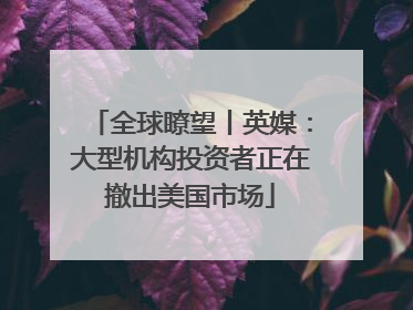 全球瞭望丨英媒：大型机构投资者正在撤出美国市场