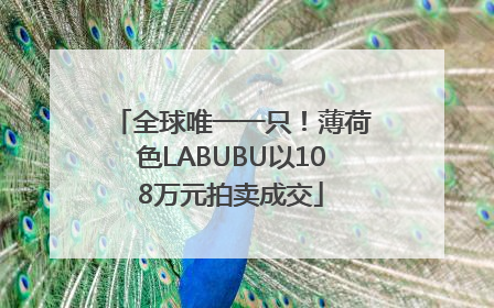 全球唯一一只！薄荷色LABUBU以108万元拍卖成交