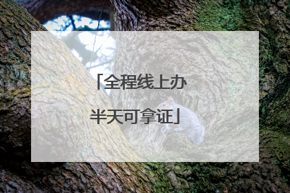 全程线上办 半天可拿证