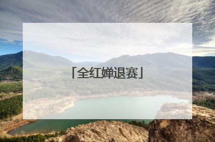 全红婵退赛