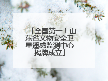 全国第一！山东省文物安全卫星遥感监测中心揭牌成立