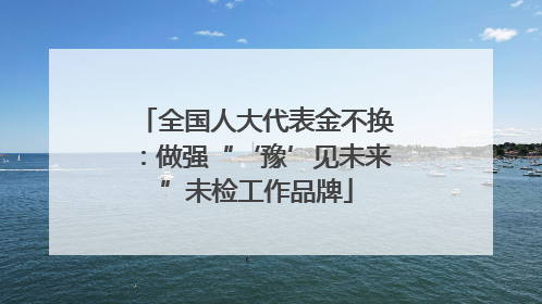 全国人大代表金不换：做强“‘豫’见未来”未检工作品牌