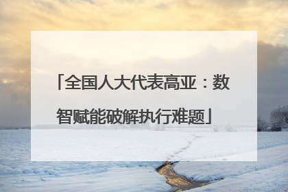 全国人大代表高亚：数智赋能破解执行难题