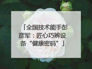全国技术能手彭彦军：匠心巧辨设备“健康密码”