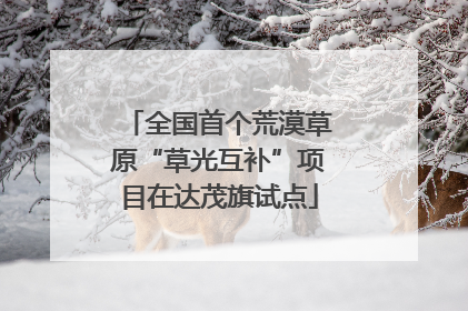 全国首个荒漠草原“草光互补”项目在达茂旗试点