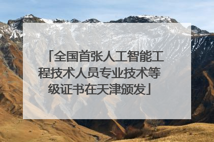 全国首张人工智能工程技术人员专业技术等级证书在天津颁发