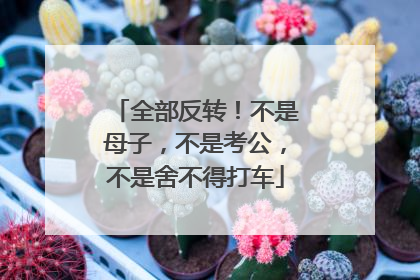 全部反转！不是母子，不是考公，不是舍不得打车