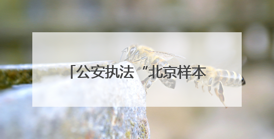 公安执法“北京样本”：一站式办案获推广，革新涉未警务机制