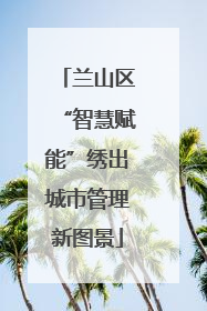 兰山区“智慧赋能”绣出城市管理新图景