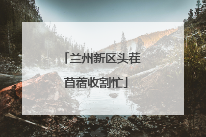 兰州新区头茬苜蓿收割忙