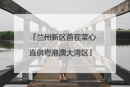 兰州新区首茬菜心直供粤港澳大湾区