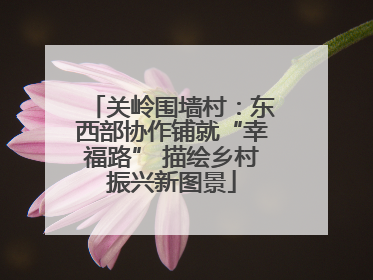 关岭围墙村：东西部协作铺就“幸福路” 描绘乡村振兴新图景