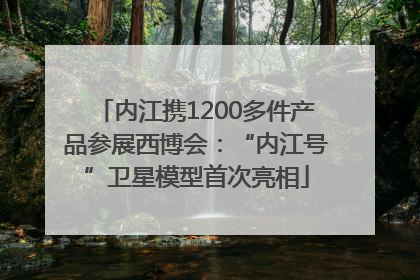 内江携1200多件产品参展西博会：“内江号”卫星模型首次亮相