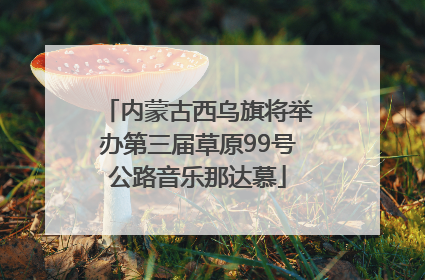 内蒙古西乌旗将举办第三届草原99号公路音乐那达慕