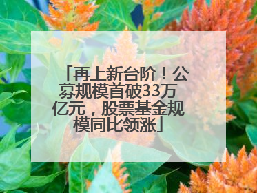 再上新台阶！公募规模首破33万亿元，股票基金规模同比领涨