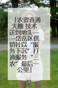 农资直通大棚 技术送到地头——岱岳区供销社以“服务下沉”打通服务“三农”最后一公里