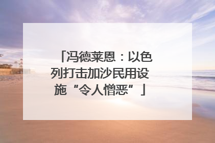 冯德莱恩：以色列打击加沙民用设施“令人憎恶”