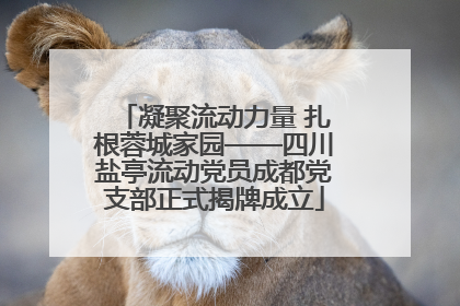 凝聚流动力量 扎根蓉城家园——四川盐亭流动党员成都党支部正式揭牌成立
